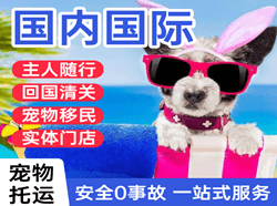 惠州平潭国际宠物托运 【国